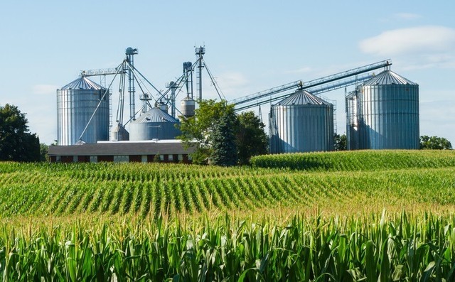 Leia mais sobre o artigo A IMUNIDADE NA EXPORTAÇÃO DA PRODUÇÃO AGRÍCOLA