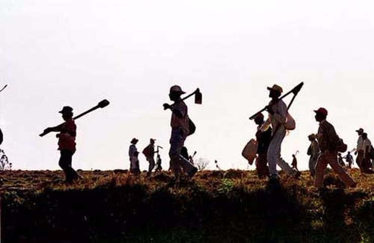 Você está visualizando atualmente Trabalhador rural diarista, safrista ou “boia-fria” é segurado especial para efeito de aposentadoria