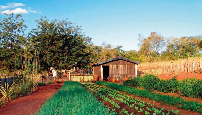 Você está visualizando atualmente O ÔNUS DA PROVA NA IMPENHORABILIDADE DA PEQUENA PROPRIEDADE RURAL